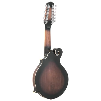 Gold Tone F-12 12-String F-Style Mandolin/Guitar w/Case image 2