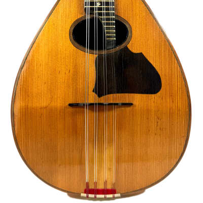 Concert Mandolin Flat-Back Emanuele Egildo N°840 from 1927 image 2