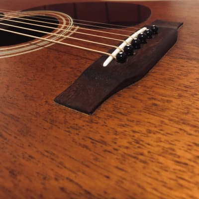 Charvel 550M Mahogany Acoustic Guitar with Gigbag image 20