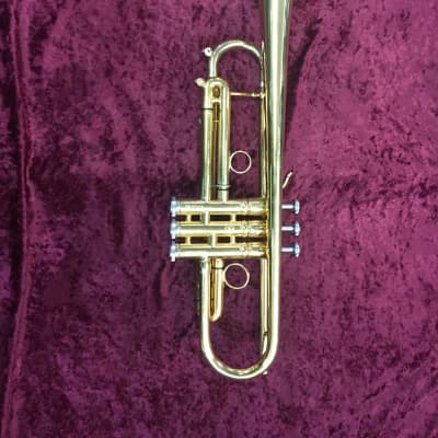 Stomvi Mambo Trumpet 24k Gold-Plated | Reverb UK