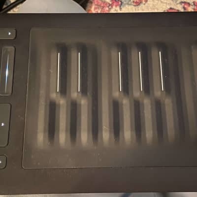 Roli seaboard rise 49 deals in stock