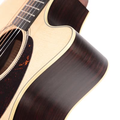 GPC-16E Rosewood Acoustic/Electric image 4