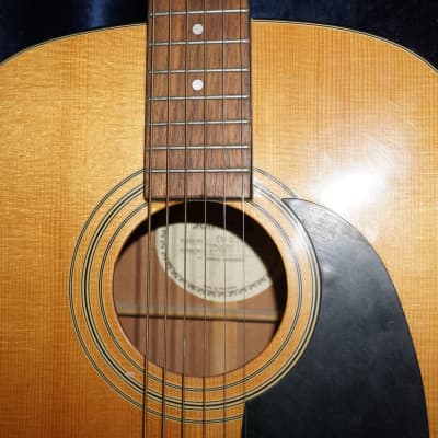 Samick LW-025G - Acoustic Guitar image 2