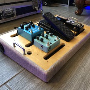 JRIG Pedalboard with Pedaltrain ATA case and pedal bundle image 8