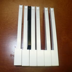 White and Black weighted keys for Korg Kronos 73 88 , M3 , M50 and Korg PA588 image 1