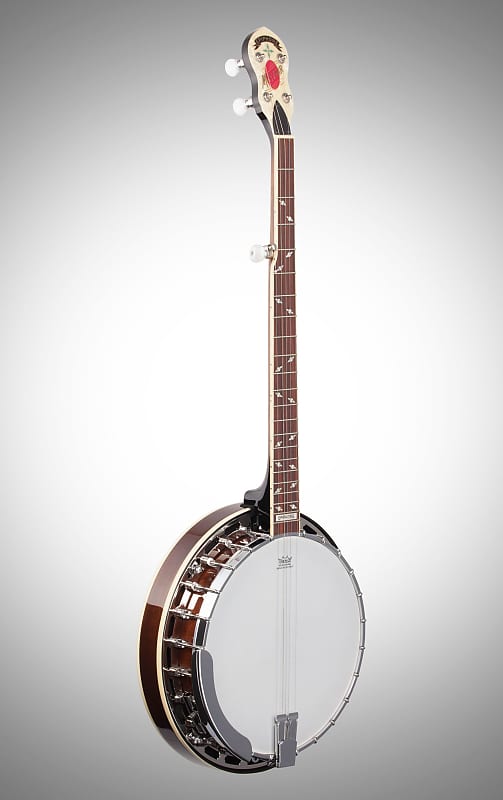 Epiphone Mayfair 5-String Banjo, Red Brown Mahogany