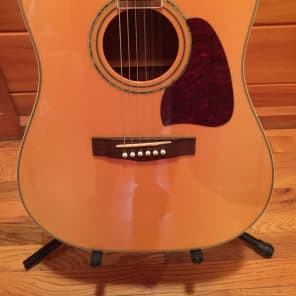 Ibanez Artwood AW100 Dreadnaught Acoustic with Roadrunner Case image 2