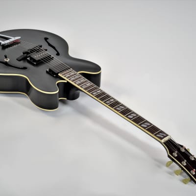 Fibertone Carbon Fiber Archtop Guitar image 11