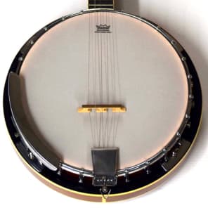 Davison 5 string banjo sale