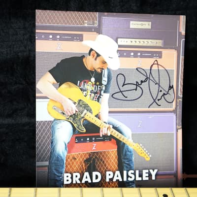 Fender Brad Paisley Road Worn Telecaster - Silver Sparkle Autographed & Played by Brad Paisley image 16