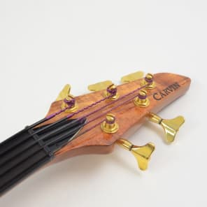 Carvin AC-50 5 String Fretless Acoustic-Electric Bass Guitar