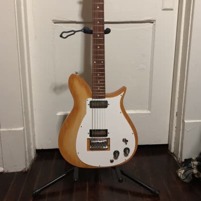 Nelson Socialite electric guitar with gigbag image 1