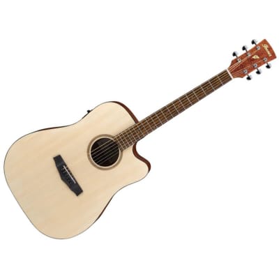 Ibanez PF10CE-OPN - Open Pore Natural Acoustic Guitar for sale