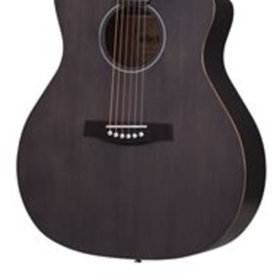 Schecter Deluxe Acoustic Guitar See Through Black for sale