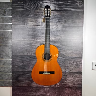 Yamaha GC22C Classical Classical Acoustic Guitar (Torrance,CA)