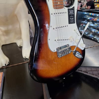 Fender Player Stratocaster with Pau Ferro Fretboard 2023 - 2024 - Anniversary 2-Color Sunburst image 4