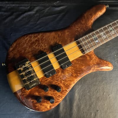 Spector USA NS-2 - Maple Burl - Amber Gloss - Authorized Dealer for sale