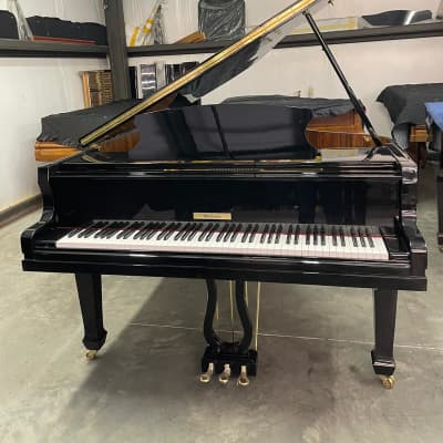 Brand new baby Grand piano 5'11'' image 2