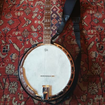 Aria アリア SB-600 5弦 デラックスバンジョー　BANJO Aria アリア SB-600 5弦 デラックスバンジョー BANJO Aria SB