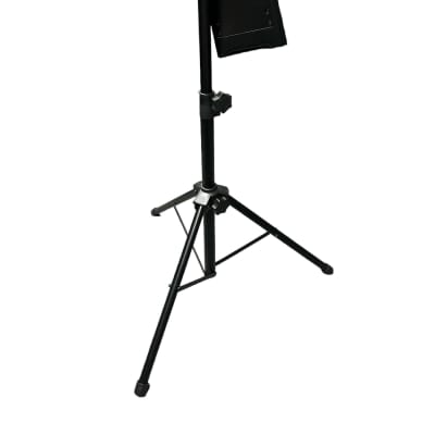 NS Design NXT4A Electric Upright Bass, Sunburst *IN STOCK* image 7