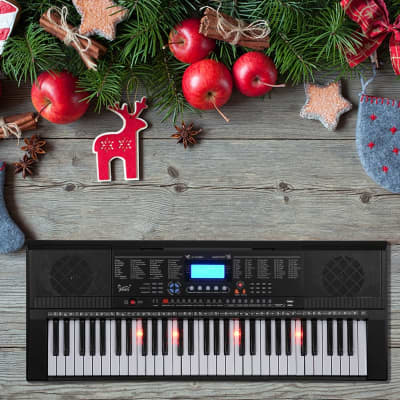 Glarry GEP-105 61-Key Portable Electronic Piano Keyboard w/LCD Screen, Microphone image 10