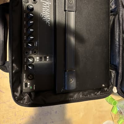 Acoustic Image Coda R Series IIa - perfect for upright bass