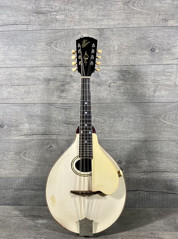 Gibson A-3 Mandolin 1920 - White image 1
