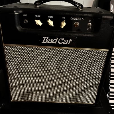 Bad Cat USA Mini Cat Combo 2004 w/ Celestion Gold Speaker | Reverb