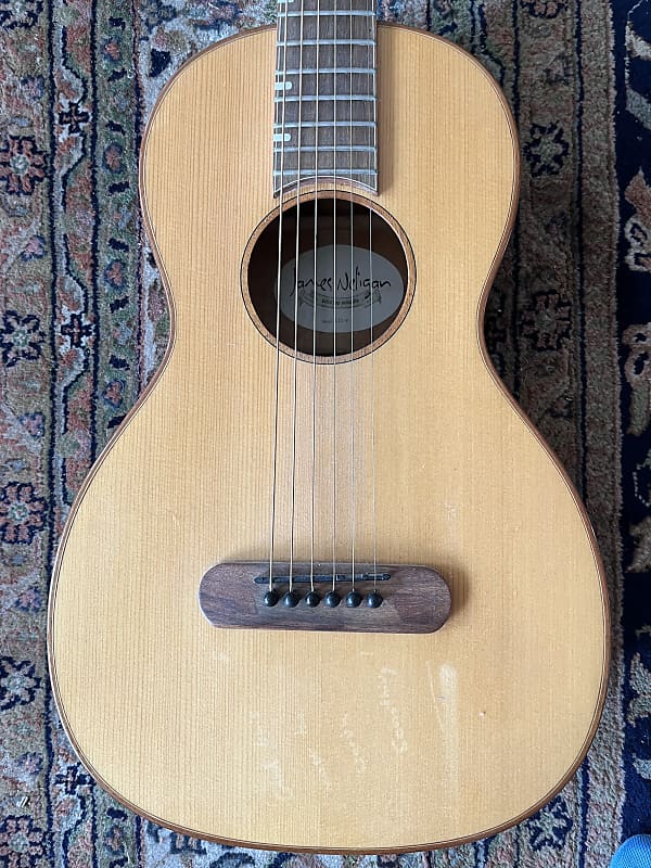 James neligan deals parlor guitar