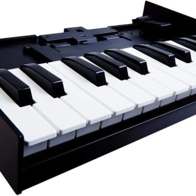 Roland K-25M Boutique Module Dock USB MIDI Keyboard, 12-Inch image 2