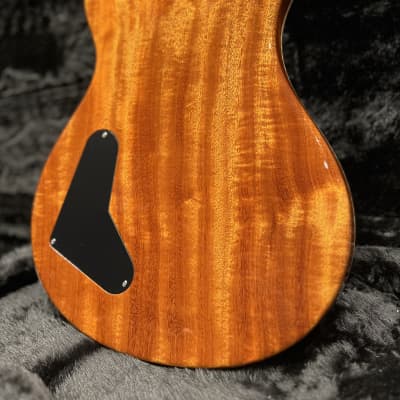 PRS Paul's Guitar - Yellow Tiger image 9