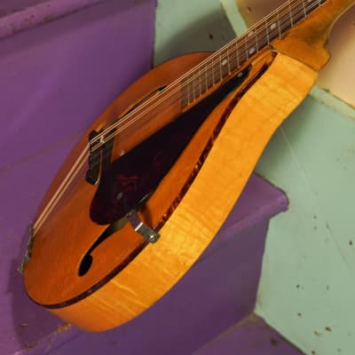 1940s Gibson Kalamazoo KMN-12 Oriole-style A-Style Archtop Mandolin (VIDEO! Fresh Work, Good to Go) image 16