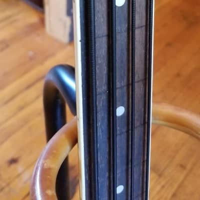 2000's Jay Turser Violin Bass Fretless - BIG Upgrades image 4