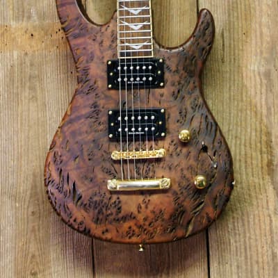 Samick Artist Custom Petrified Driftwood Guitar for sale