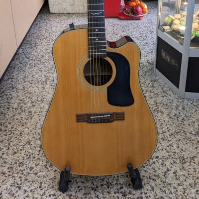 RARE 1989 Washburn Model D-12CE/N Acoustic Electric Cutaway Pro Setup with hard case for sale