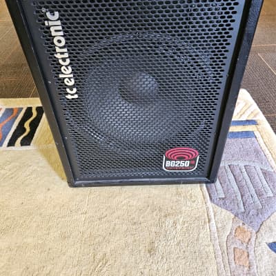 TC Electronic BG250-115 Bass Combo