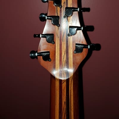 Acacia (not Acaciaguitars.com)  8-String Custom guitar image 7