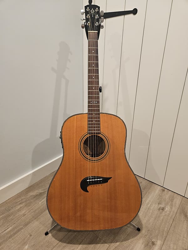 Alvarez Yairi DY70 1995 Natural Reverb