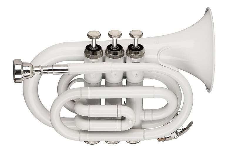 Stagg Bb Pocket Trumpet with Brass Body - White - WS-TR249S image 1