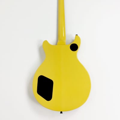 Haze Solid Body Double cut Electric Guitar, HH, Ash Burl Top +Free Bag |SCPG 280BNABH| image 6