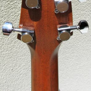 Breedlove American Series C25/CRe H Western Red Cedar Acoustic Electric Guitar L.R. Baggs Rosewood image 8
