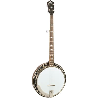 Recording King RK-R36-BR Madison 5-String Resonator Banjo with Tone Ring for sale