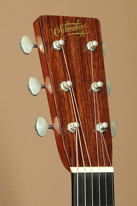 Schoenberg Guitars Soloist (Julius Borges) 1990's | Reverb