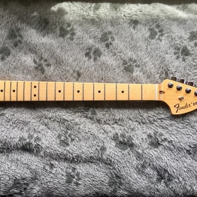 Fender The Edge Artist Series Stratocaster Neck