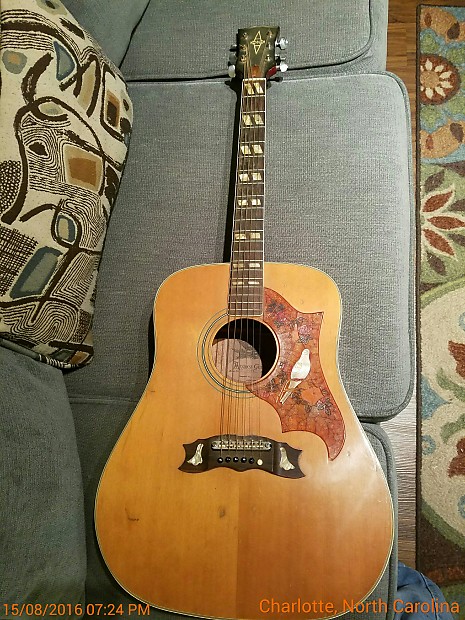 Alvarez 5024 dove acoustic guitar on sale