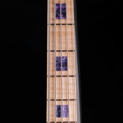 Ernie Ball Music Man BFR StingRay 5 HH Bass Guitar - Moonbeam image 16