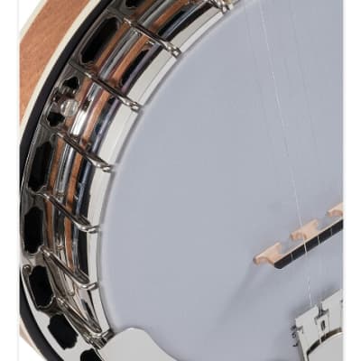Recording King RK-R35-BR "Madison" Resonator Banjo. New with Full Warranty! image 4