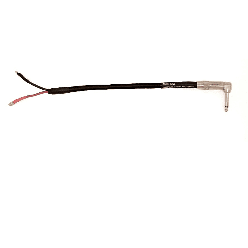 Divine Noise Combo Amp Speaker Cable Black 1 Speaker Reverb