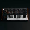 Moog Subsequent 37 37-Key USB MIDI Analog Mono Duo Synth Synthesizer 110V
