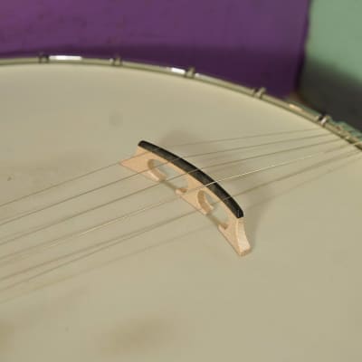 2022 Gold Tone OT-800LN Longneck 5-String Banjo (VIDEO! Fresh Setup, Ready) image 6